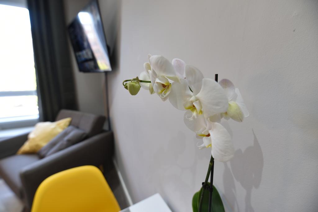 Meadowbank House Luxury Apartment EDI Kültér fotó